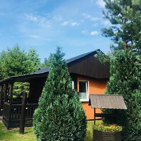 Sosnowy Park Białogóra