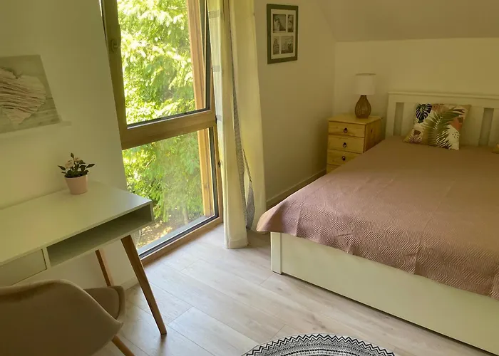 База отдыха Sosnowy *