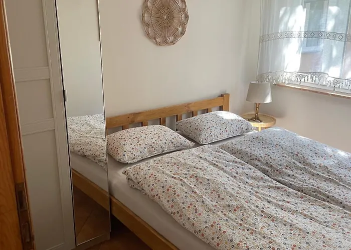 Sosnowy База отдыха *