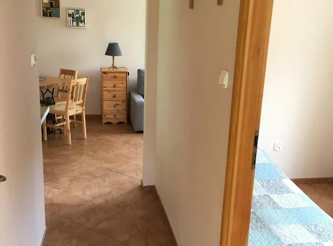 Sosnowy База отдыха *