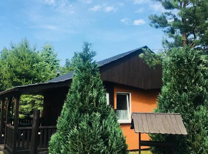 Sosnowy Бялогура