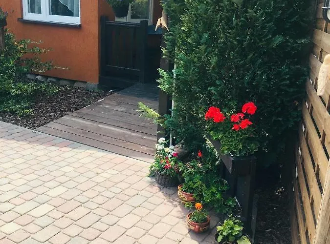 Sosnowy База отдыха