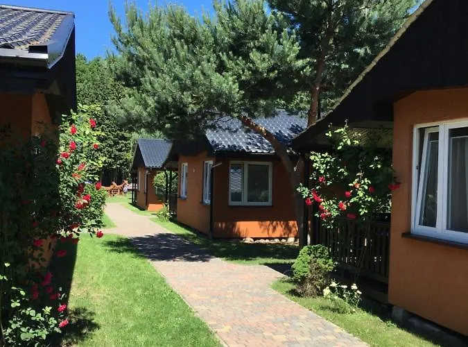 База отдыха Sosnowy *